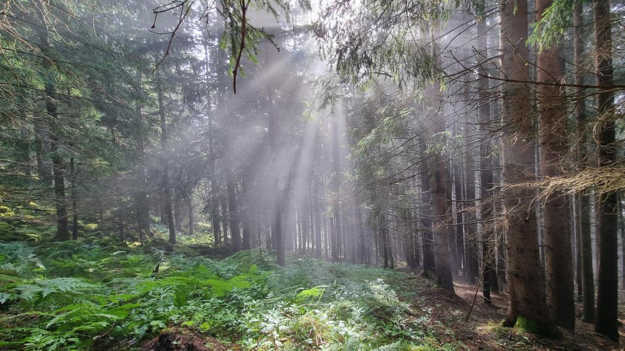 Ferienwohnungen Rabensteiner 바트키르히하임 외부 사진